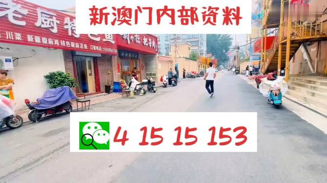 2024新澳门天天开好彩大全正版,灵活性执行方案_SJO49.629可靠版
