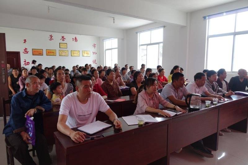 最新互评动态，蜕变的力量与学习的魅力展现学习进步之路的无限魅力
