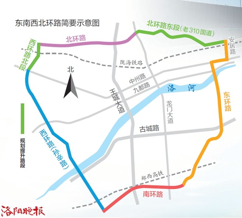 保健品 第247页