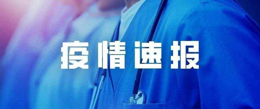 丽水最新疫情通报，变化中的学习之光与自信成就感的源泉
