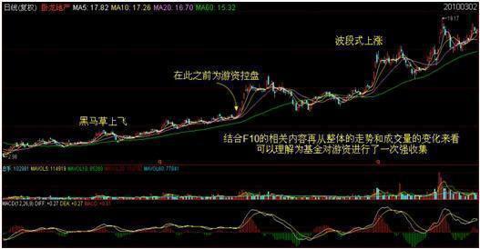 卧龙地产股票，自然美景的探索之旅与投资价值分析