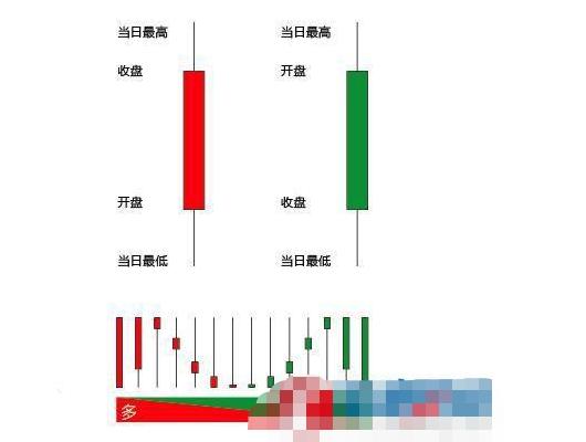 白酒 第255页