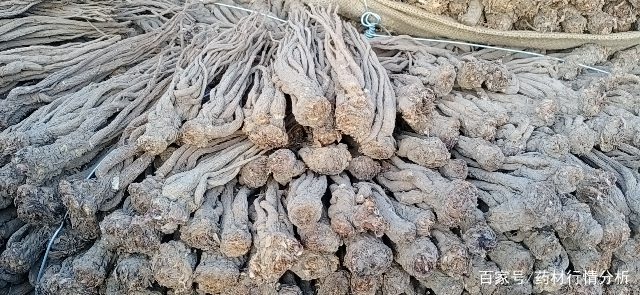 保健品 第182页