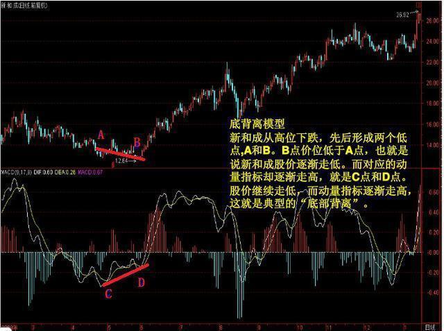 新和成股价最新动态，行业趋势与公司前景展望分析