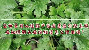 白酒 第226页