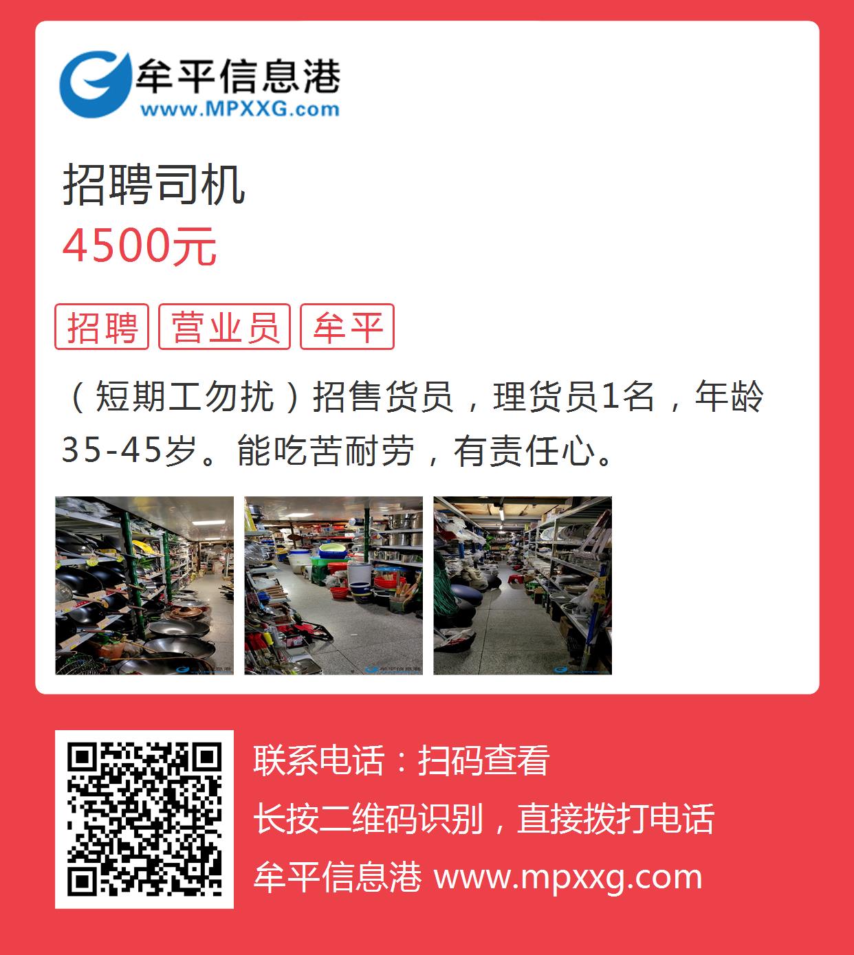 文登信息港最新职位招聘揭秘，小巷深处的职场宝藏