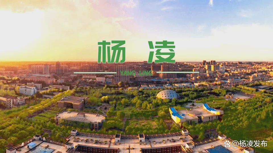 杨凌最新动态，技能提升与任务完成指南