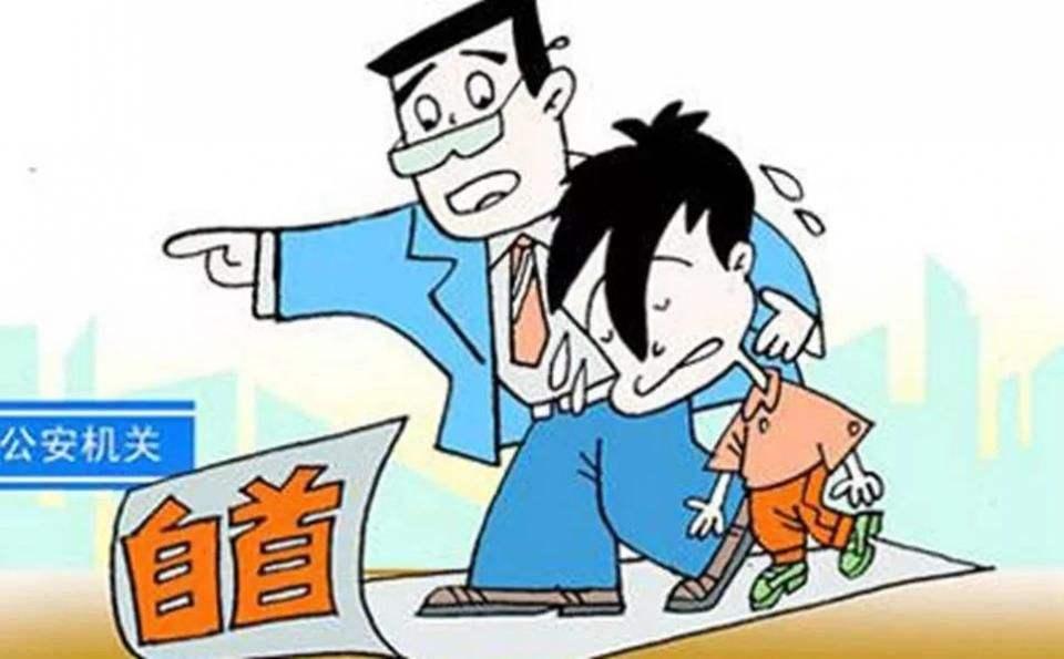 肇事逃逸最新处罚标准解析，远离尘嚣，探索旅行之道