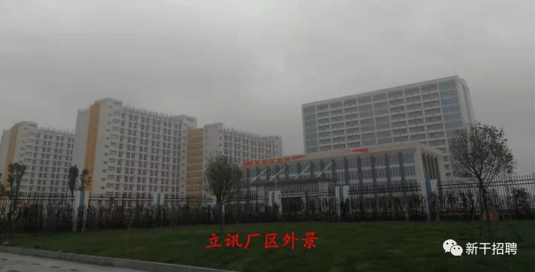 吉安立讯最新招聘，小巷中的隐藏宝藏，探索无限机遇！