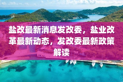 盐业改革最新动态，步骤指南及最新消息速递