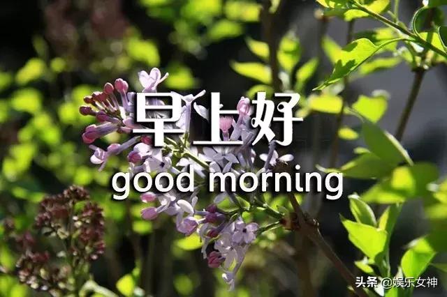 最新幽默短信，笑对人生，学习成长的力量之源