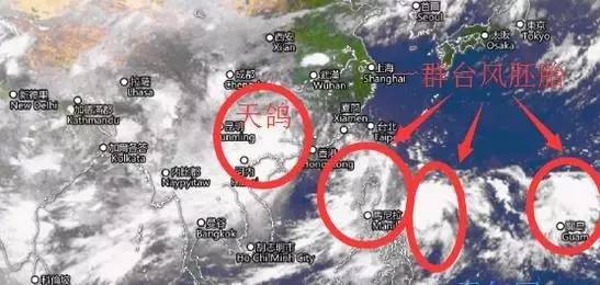 台风珊瑚最新动态更新，最新消息汇总