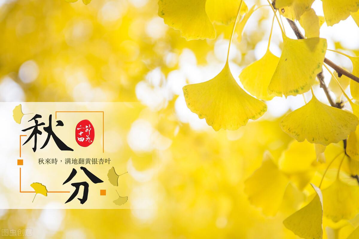 博晖创新最新动态，日常趣事与情感纽带的交织