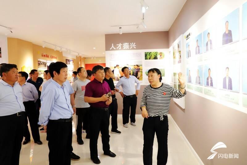 济宁小麦价格最新行情及分析概览