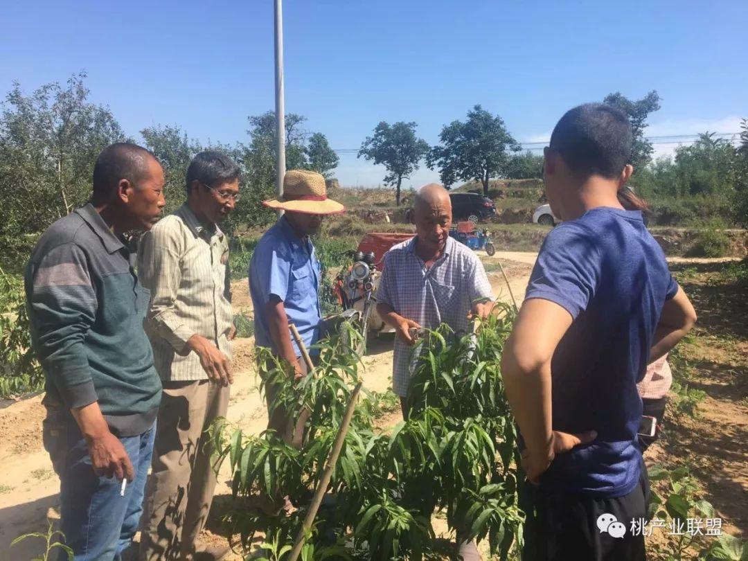 乐桃最新版揭秘，小巷中的美食天堂探索