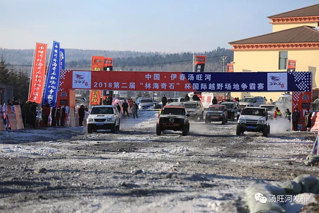汤旺河最新动态，全面了解与参与，步骤指南全解析