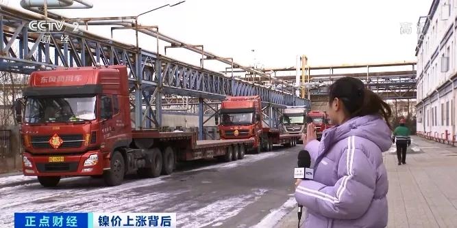「重磅更新」今日镍板价格行情汇报，最新市场走势分析📈