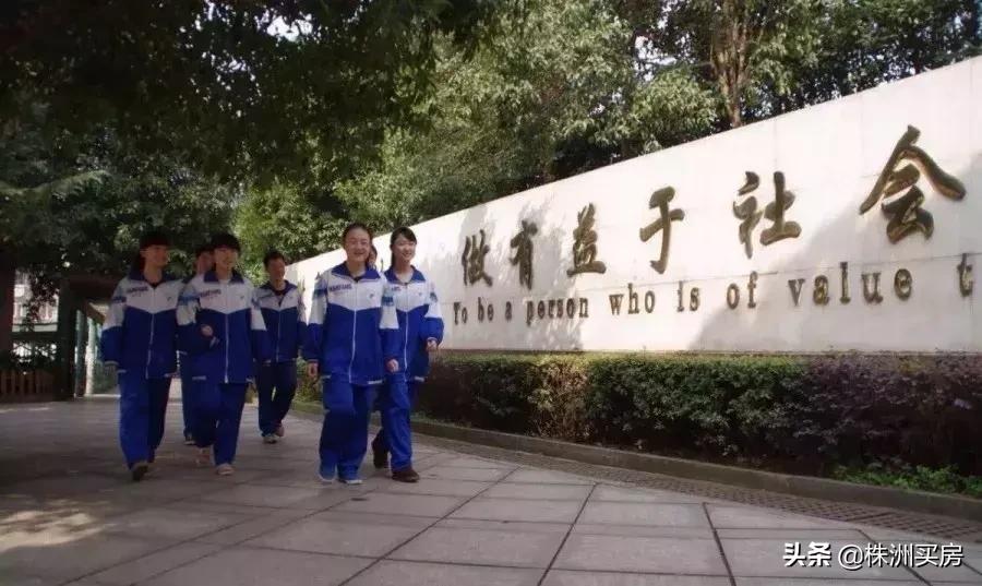 株洲学区房最新消息一网打尽，热门学区房动态全面解析！