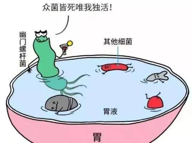 幽门螺杆菌最新治疗方法揭秘，小巷深处的神秘诊所探索