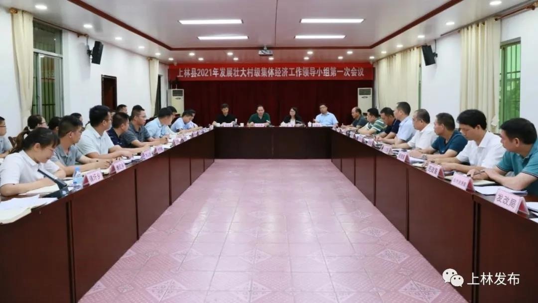 上林网新闻最新消息及步骤指南，适合初学者与进阶用户全面解析