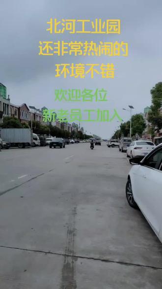 白酒 第166页