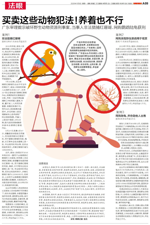 关于偷牛行为的最新法律及步骤指南