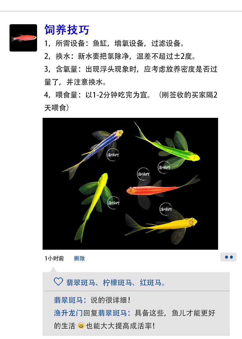 养画眉鸟最新养殖技术揭秘，日常趣事与养殖技巧分享