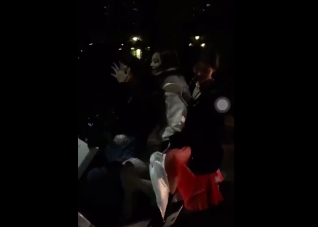 秒播影视最新午夜视频，自然美景的心灵之旅，启程你的冒险之旅