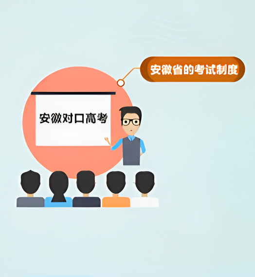 安徽对口高考最新动态，追梦之旅的温馨启航