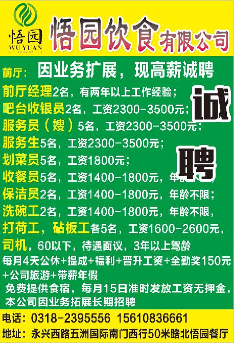 衡水赵圈最新招工信息详解与观点论述