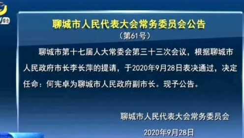 山东聊城最新人事任免及自然美景下的心灵探索之旅