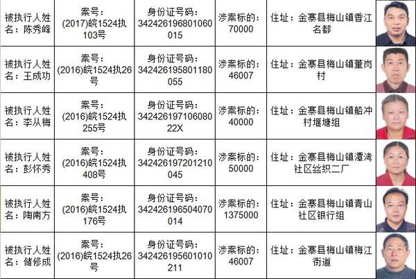 最新舞钢老赖人员名单曝光，揭秘失信人员名单