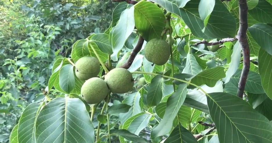 章丘违建拆除最新动态更新，最新消息汇总