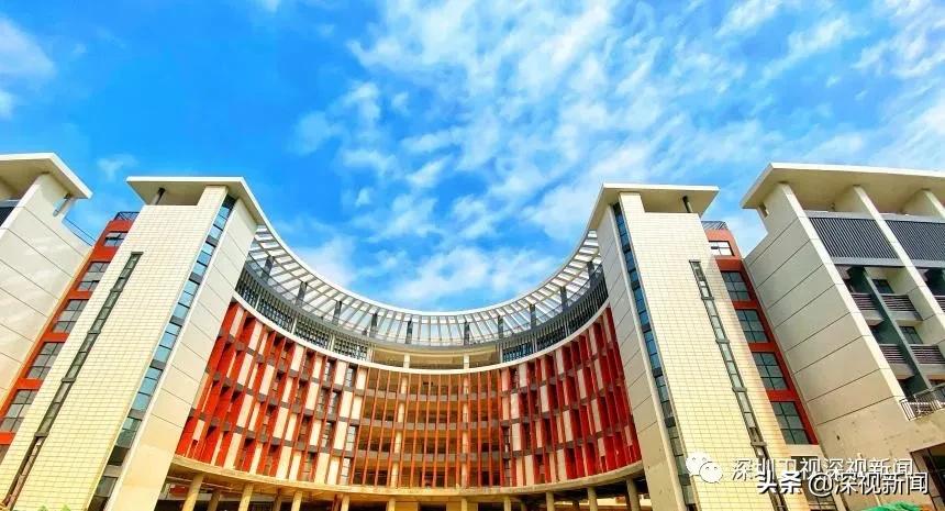 最新开学时间解析，多方观点阐述开学动态