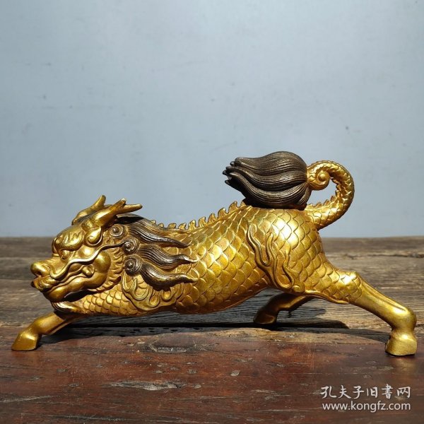 金麒麟最新，友情与陪伴的温馨日常时光