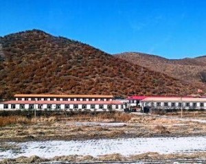 口前镇发展的双刃剑效应最新分析