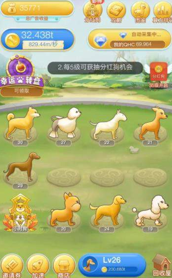 分红犬最新动态与学习变化，自信塑造未来