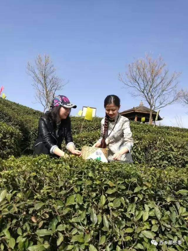 五A添盛坊青稞原浆 第49页