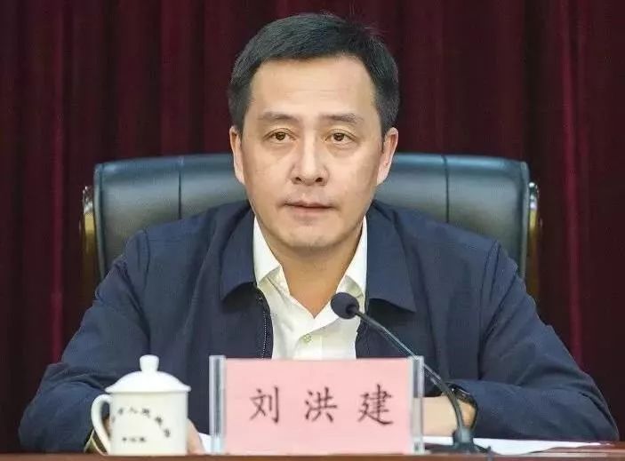 李满堂最新消息揭秘，温馨有趣的日常故事展开旅程