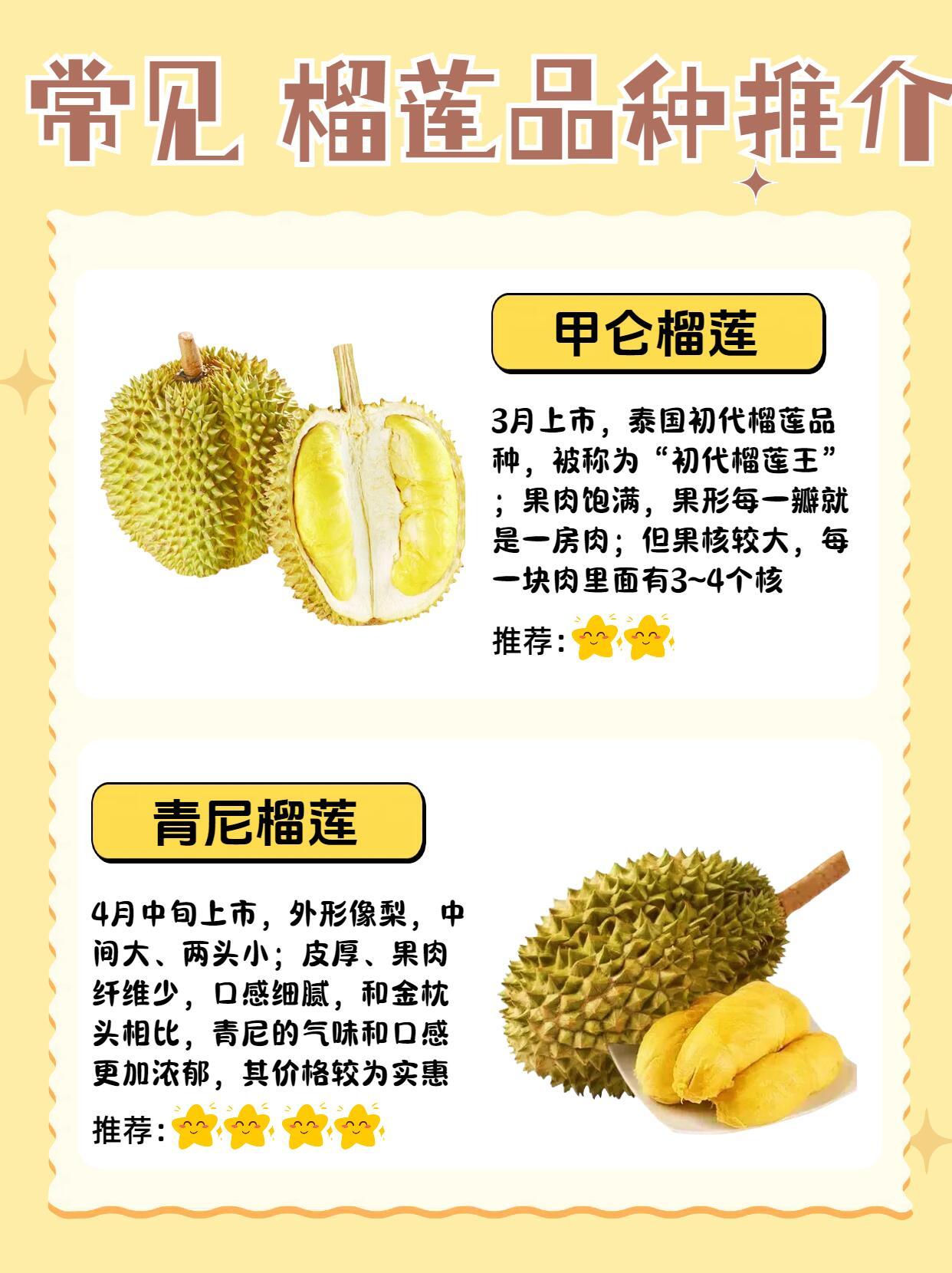 最新榴莲手机发布，爱的连结与日常趣事的必备良伴