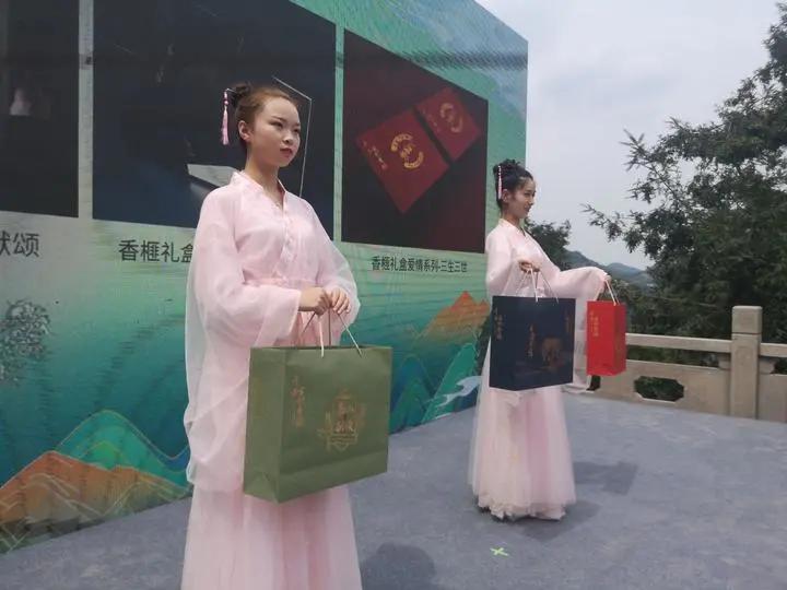 绍兴交通事故最新情况及应对解决步骤指南，初学者与进阶用户的必备指南